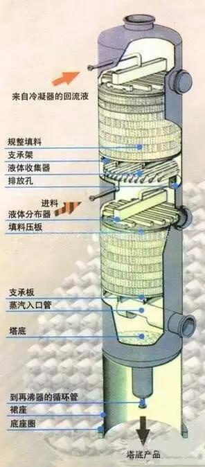 填料塔剖面圖